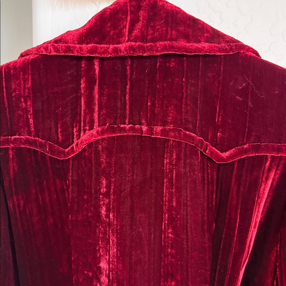 Cynthia Steffe Velvet Long Sleeve Dress in Rich Burgundy - Picture 9 of 10